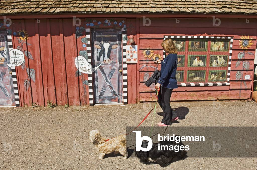 A Woman Walking Two Dogs in Downtown Sedona, Arizona, USA (photo)
