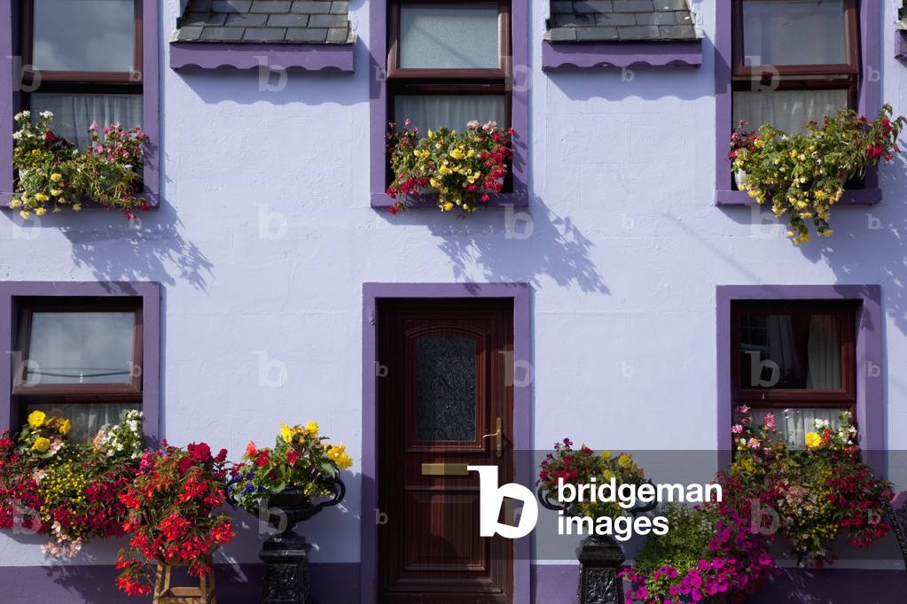 A purple house decorated with blossoming flowers; Ardgroom, County Cork, Ireland (photo)