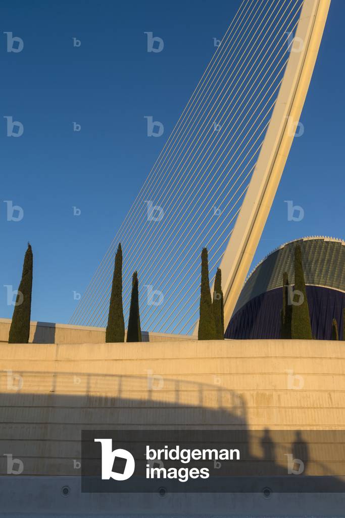 Shadows of Two People in Front of El Pont De L'assut De L'or and L'agora in Ciudad De Las Artes Y Las Ciencias (City of Arts and Sciences), Valencia, Spain (photo)