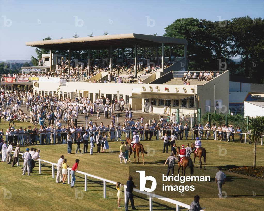 Horse Racing, Killarney Racecourse, Co Kerry, Ireland (photo)
