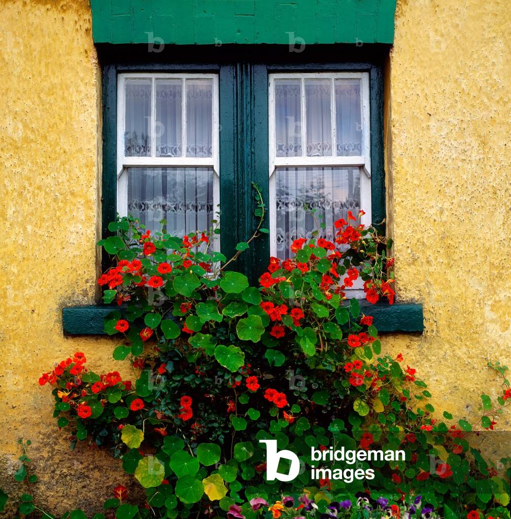 Cottage Window, Co Antrim, Ireland (photo)