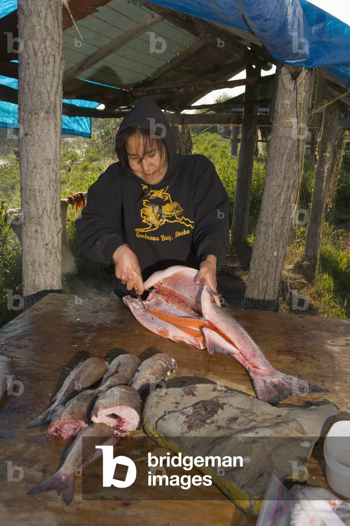 Yupik Woman & Daughter Processing Salmon at Fish Camp For Drying/Smoking Process Tuluksak We Alaska (photo)