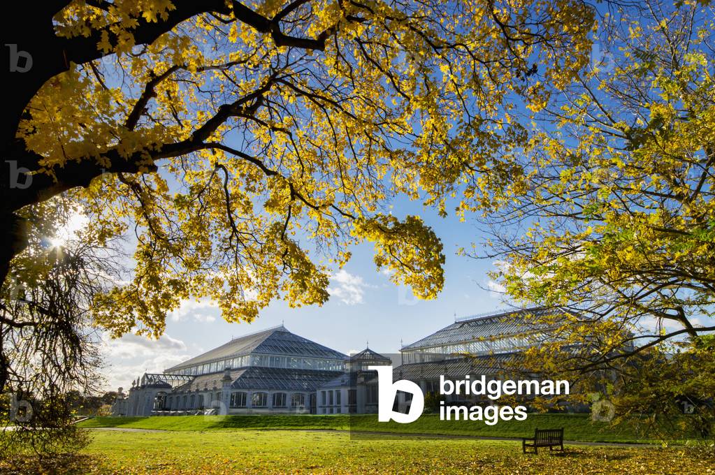 Kew Gardens Temperate House, London, England, UK  (photo)