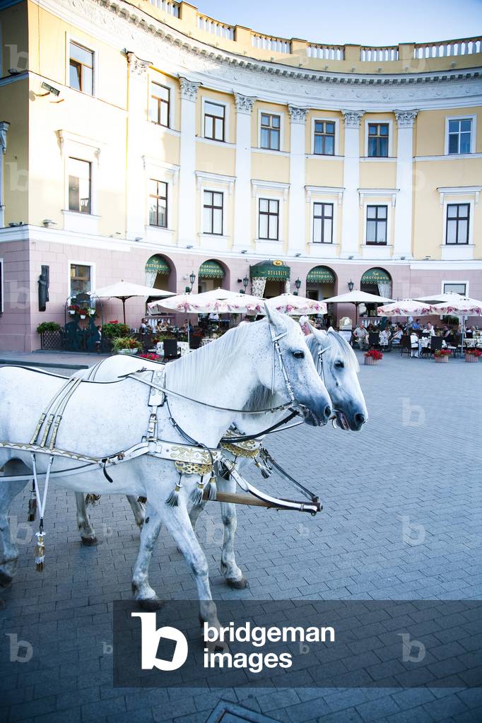 Tourists ride in horse drawn carriage past historic buildings in Odessa City centre, Odessa, Ukraine (photo)