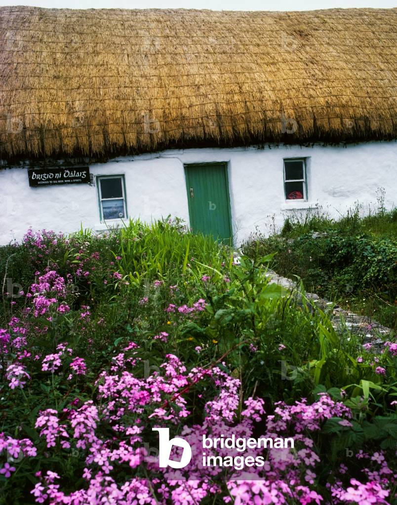 Inishmore, Aran Islands, Ireland, Pub (photo)