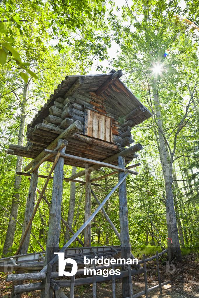Athabascan food cache in woods, Athabascan Village site at Alaska Native Heritage Center, Anchorage, Southcentral Alaska, Summer (photo)