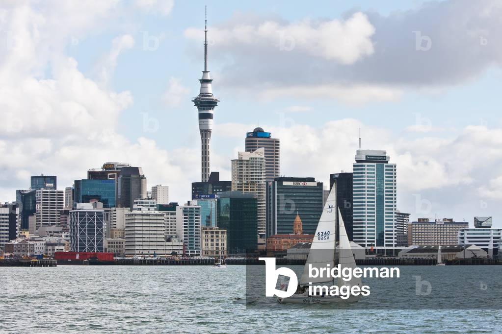 View of City, New Zealand (photo)