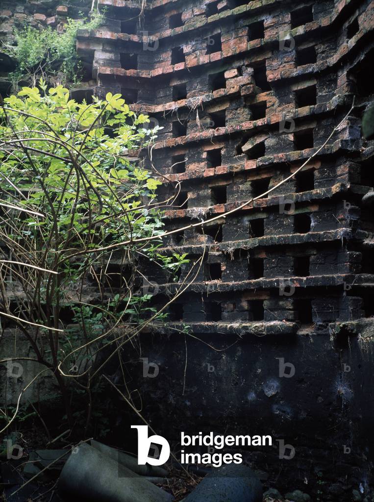 Dunany Point,Co Louth,Ireland;Derelict Dove Coat (photo)