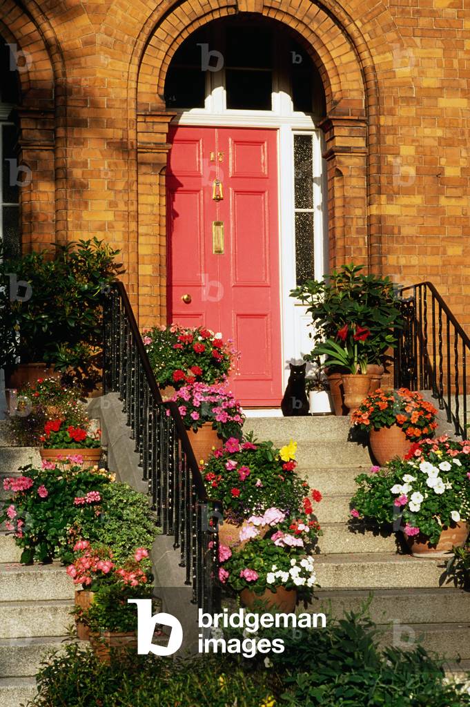 Dublin, Co Dublin, Ireland, Georgian Floral Doorway, Rathmines (photo)