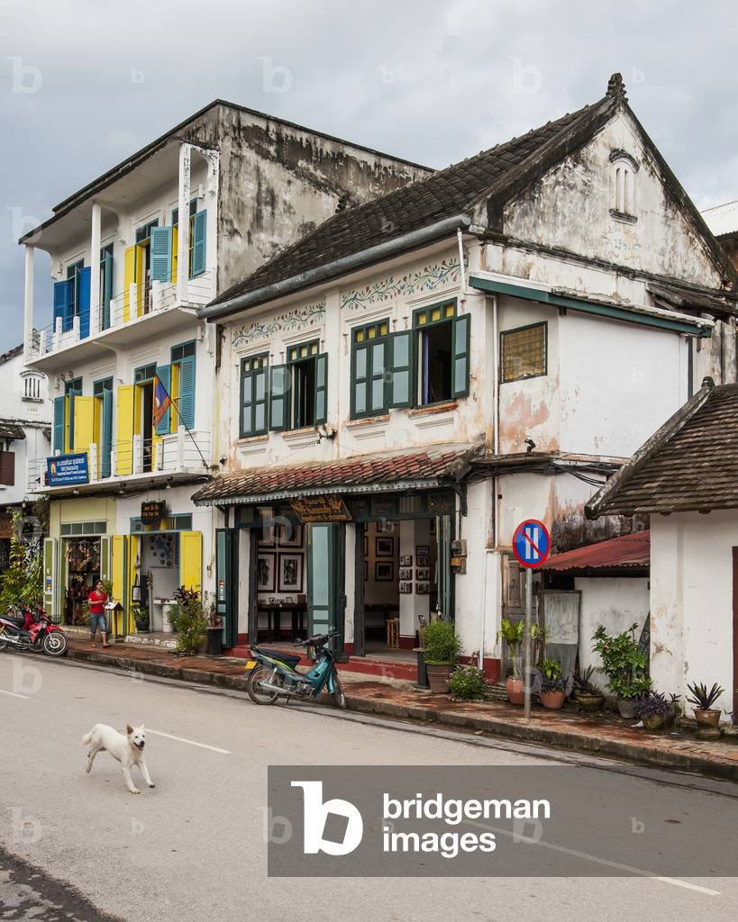 Dog in the street and french colonial buildings, Luang Prabang, Laos (photo)