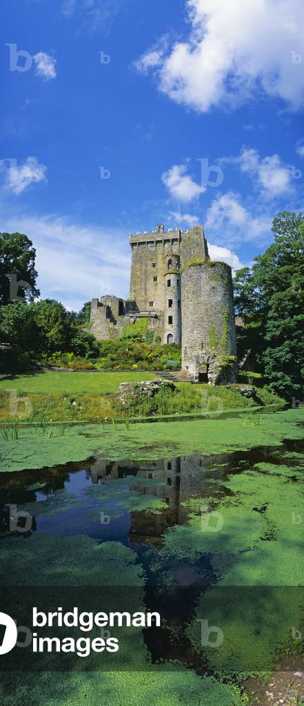 Pond In Front Of A Castle, Blarney Castle, County Cork, Republic Of Ireland (photo)