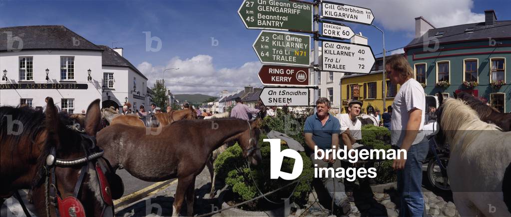 Kenmare Fair Day,Kenmare,Co Kerry,Ireland;Traditional Horse Market (photo)