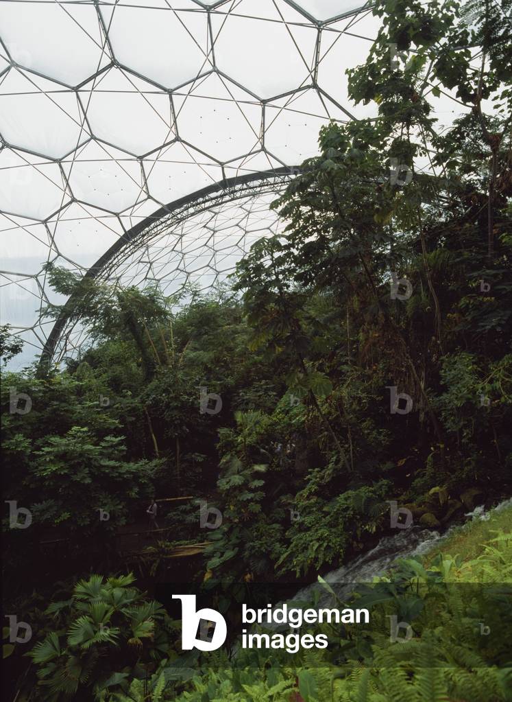Tropical House of The Eden Project, Cornwall, UK (photo)