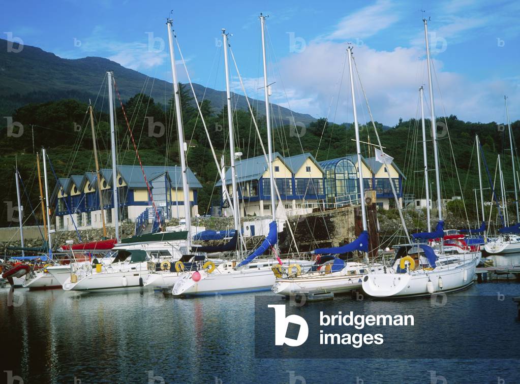 Carlingford Marina, Carlingford, County Louth, Ireland (photo)