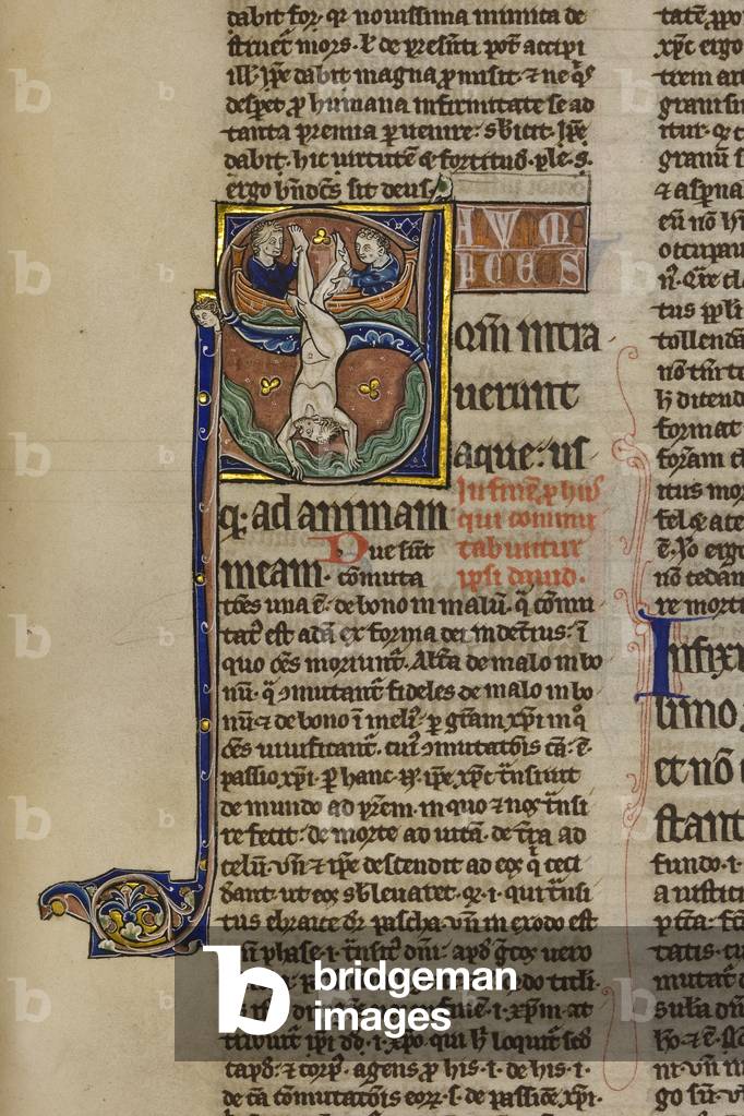 Illuminated and inhabited initial 'S' depicting Jonah being cast into the sea from a boat, from Psalm 68 in an illuminated copy of Peter Lombard's Great Gloss on the Psalms (vellum)
