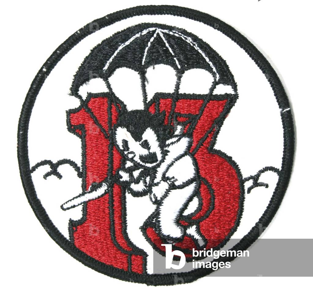 513th Parachute Infantry Regiment, 17th Airborne Division
