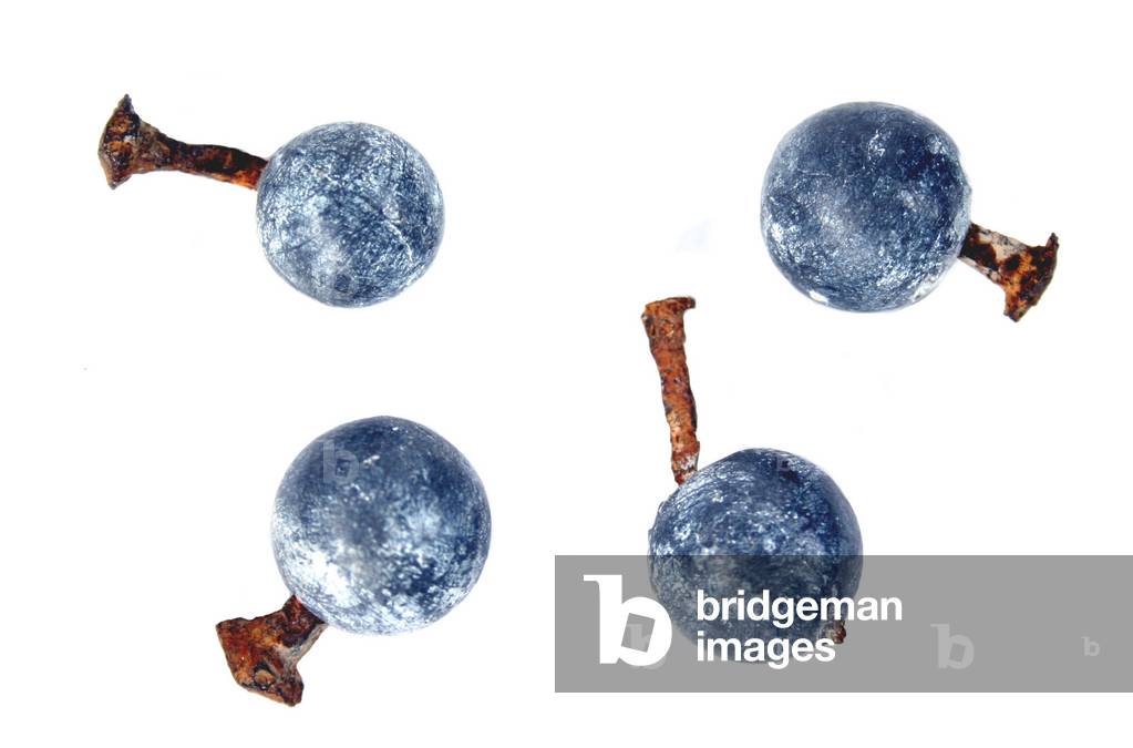 .70 caliber musket balls with nails hammered through excavated near Fort Ticonderoga, N.Y (lead)
