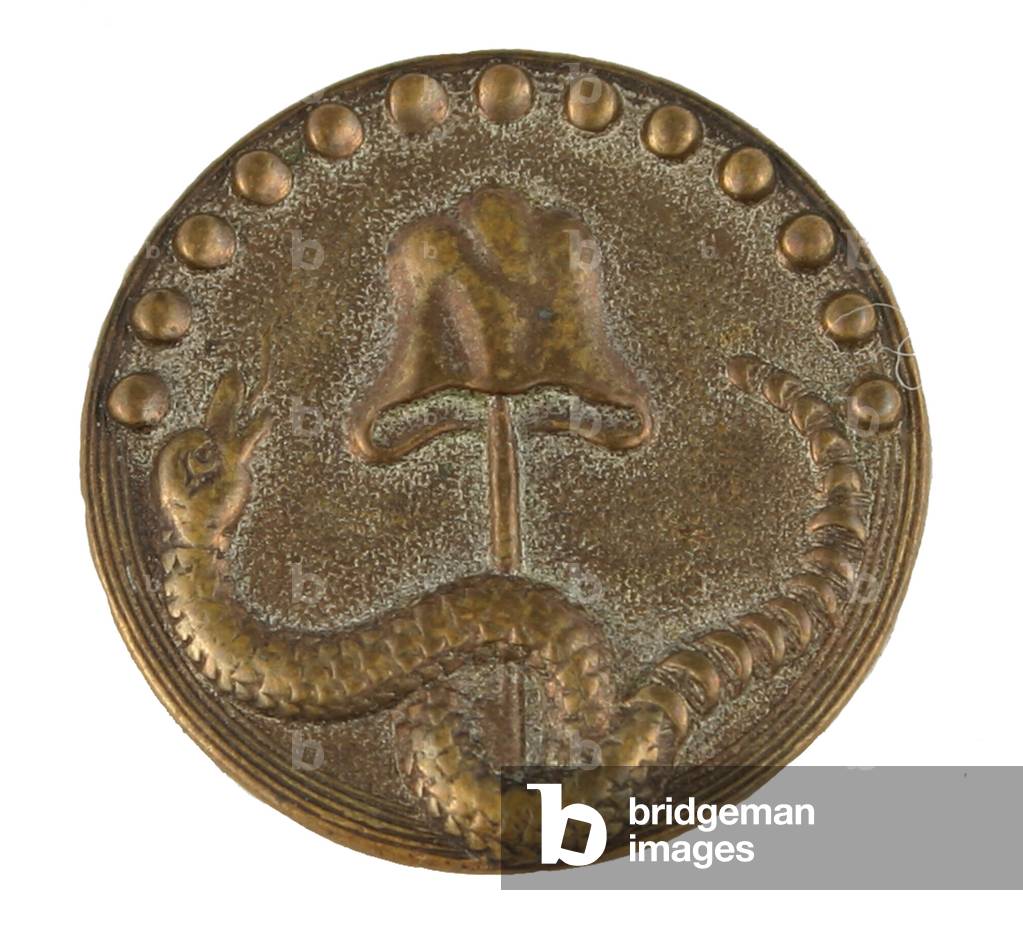 Patriotic Button With Liberty Cap , Rattlesnake and 13 eggs