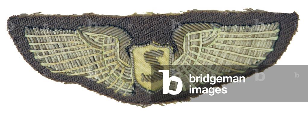 United States, US Army Air Force Embroidered Service Pilot's Wings