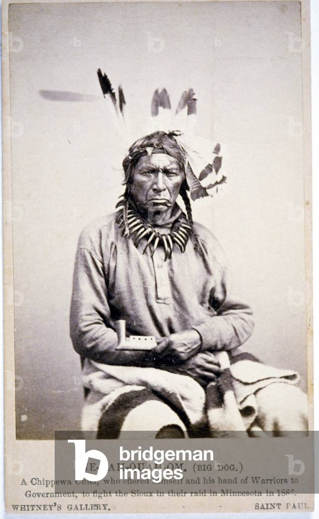 NE-BAH-QUAH-OM,Big Dog, Chippewa Chief, offered to fight Sioux in Minnesota, 1862 (b/w photo)
