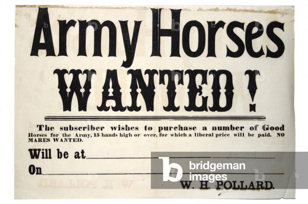 Broadside for buying Army horses