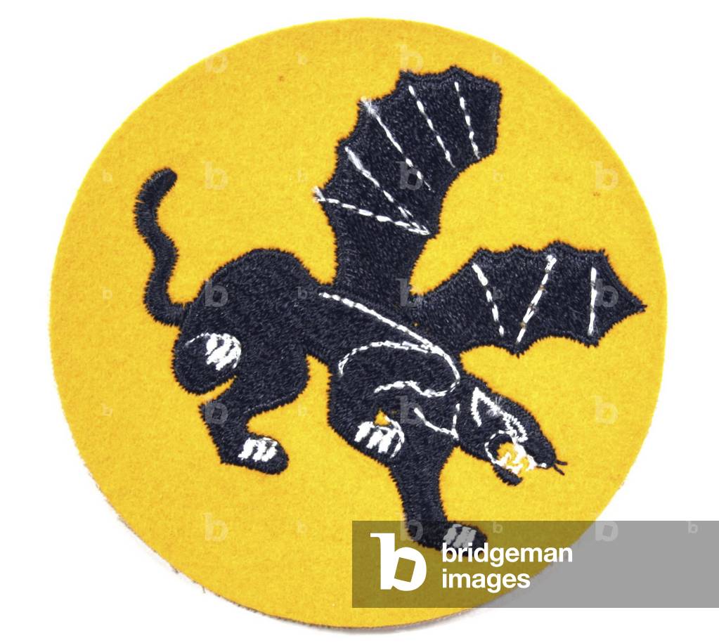 United States, Patch of the 541st Parachute Infantry Regiment