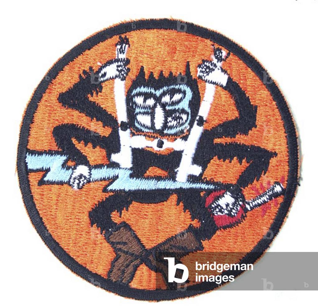 United States, Patch of the 507th Parachute Infantry Regiment,

