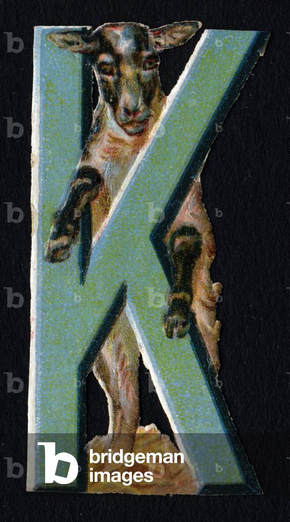 K like Karakul . Beetle decoupis on the theme of animals. Engraving. Series of 26 waffle chromolithographs of English origin. Editor and illustrator unknown. End of the 19th century. Dim: 5,5x3,5cm