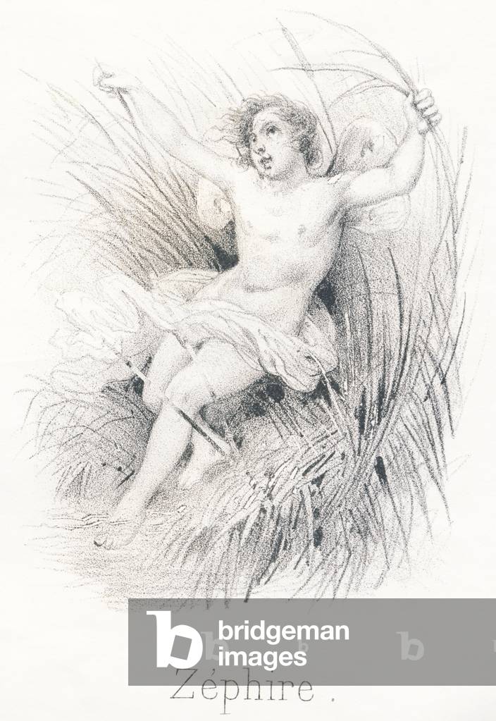 Z Zephire: Son of Eole and Dawn, this is the most pleasant of the winds, the one who favors the feconditus of the earth