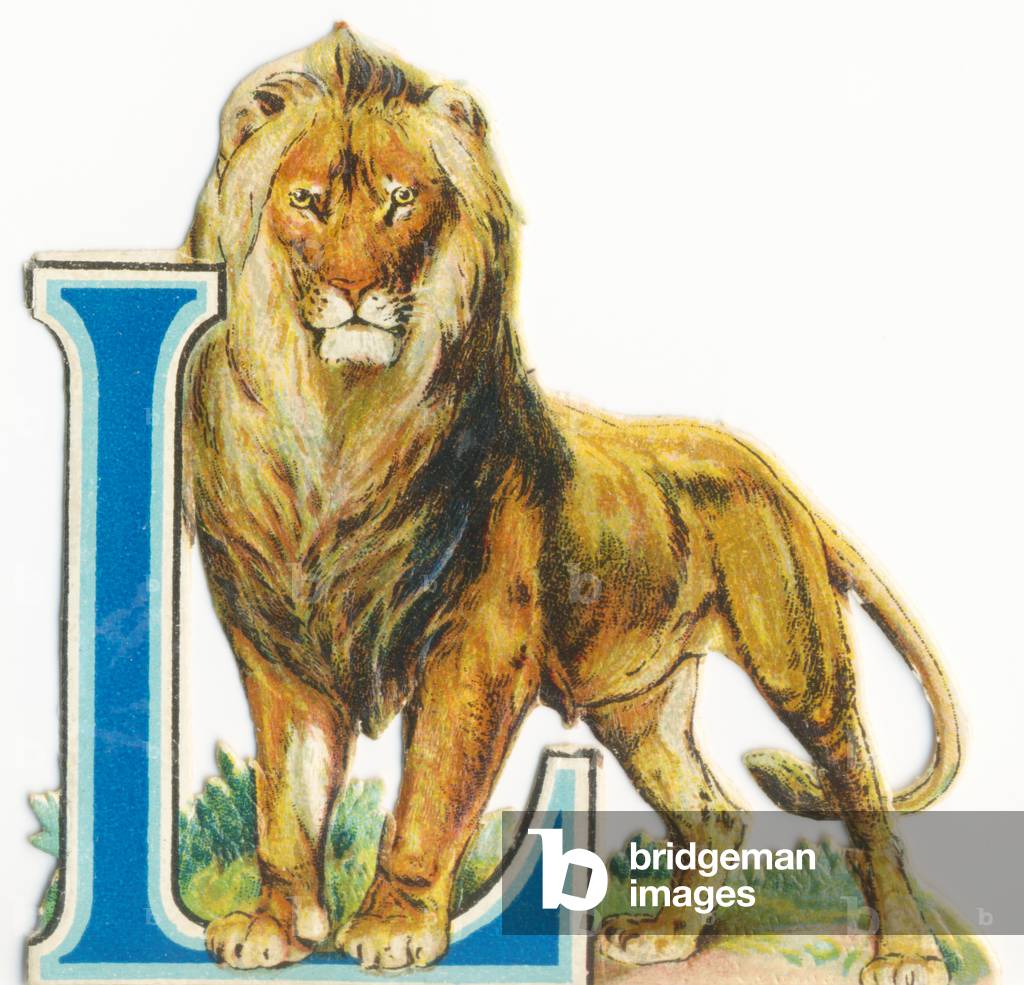 L: Lion