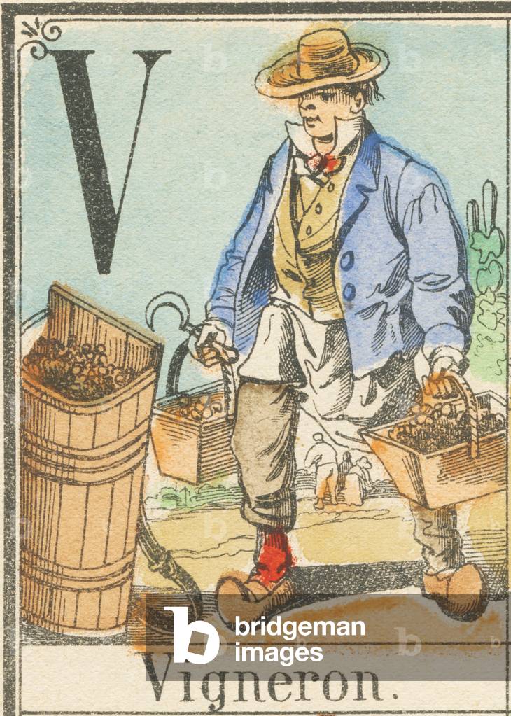 V: Winemaker