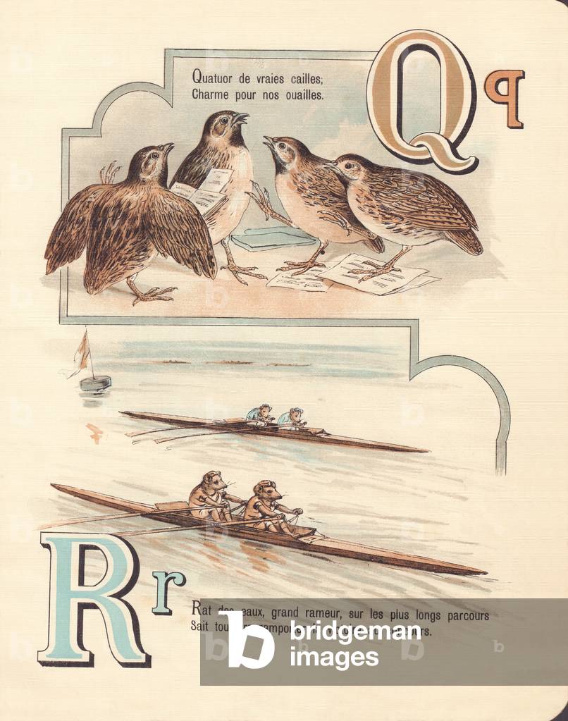 Q A: Quail, quartet, rat, race