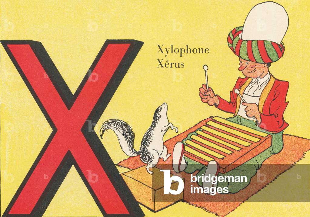 X: Xylophone, Xerus