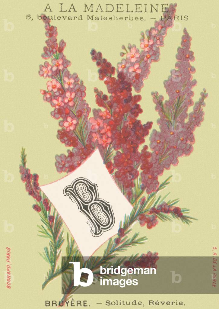 B: Bruyere - Solitude, Reverie