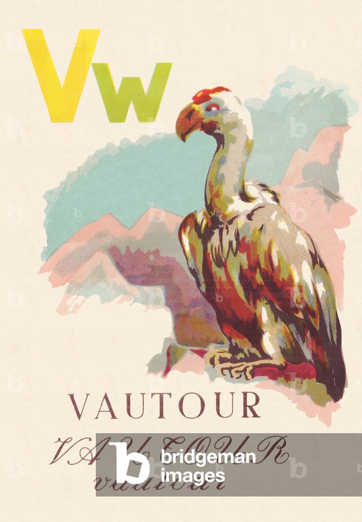 ABC The Vulture Birds, 1945 (illustration)