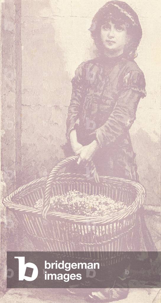 45: Flora got up early to pick flowers