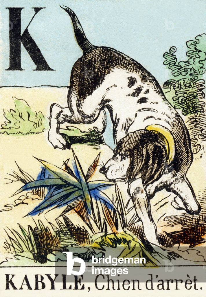 K : Kabyle chien d'arret - The Hunting Alphabet, c.1890 (engraving)