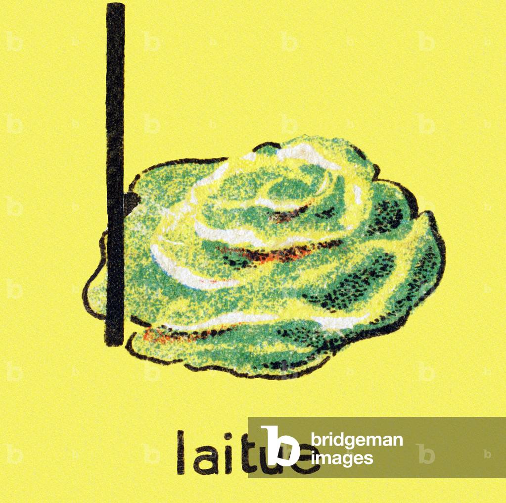 Lettuce (lettuce) - Engraving in “Alphabetical cubes, fruits and vegetables