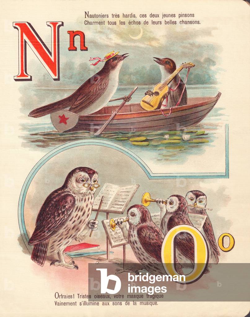 N O: Nightingale, navigation, owl, orchestra