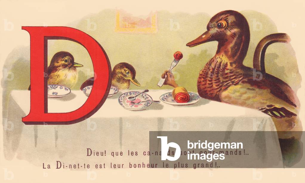D: God! that ducks are greedy! The Dinette is their greatest happiness!
