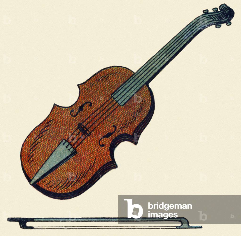 Violin. Engraving in 