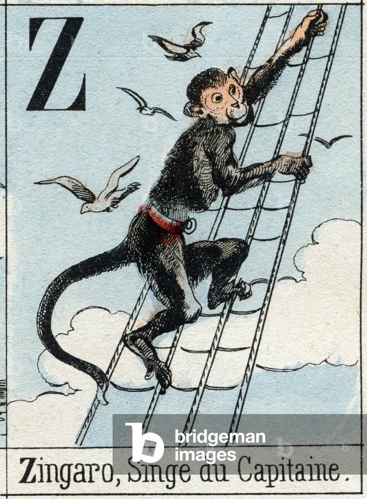 Letter Z like Zingaro, Captain's Monkey. Navy alphabet . Epinal image, late 19th century. Stencilled wood engraving