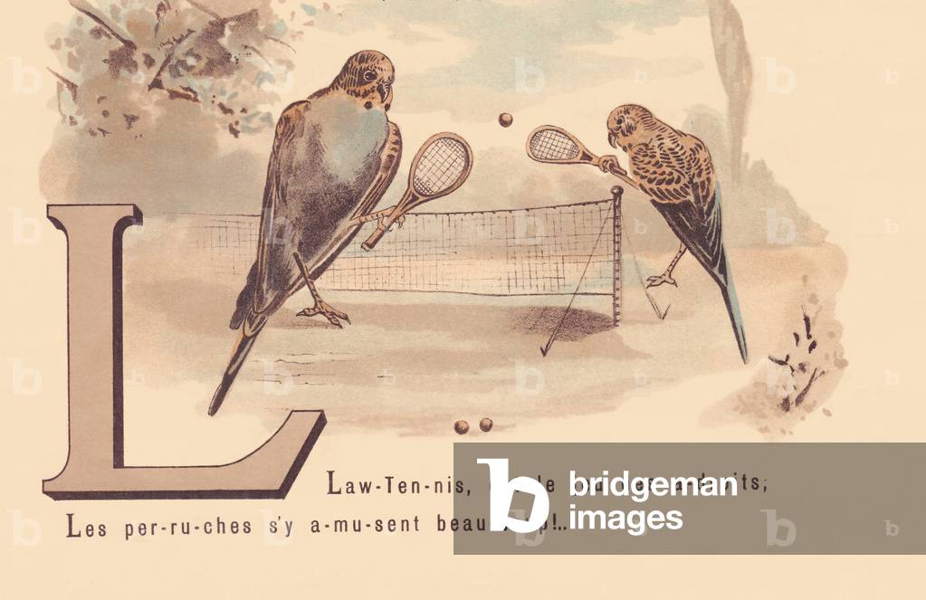 L: Lawn-Tennis, is the game of the clever; Parakeets have a lot of fun!