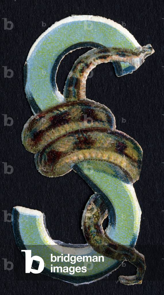 Immagine di Stampa "S come Serpente. Decoupis di scarabeo sul tema degli animali. Incisione. Serie di 26 cromo