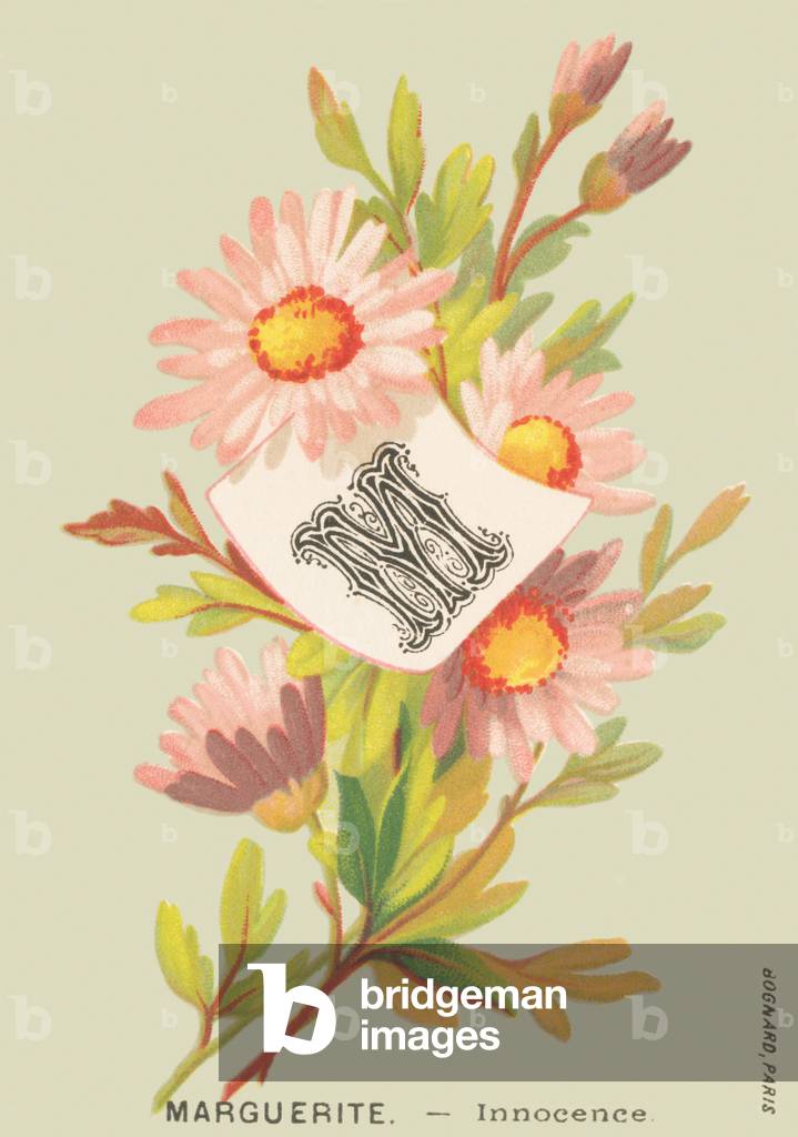 M: Marguerite - Innocence