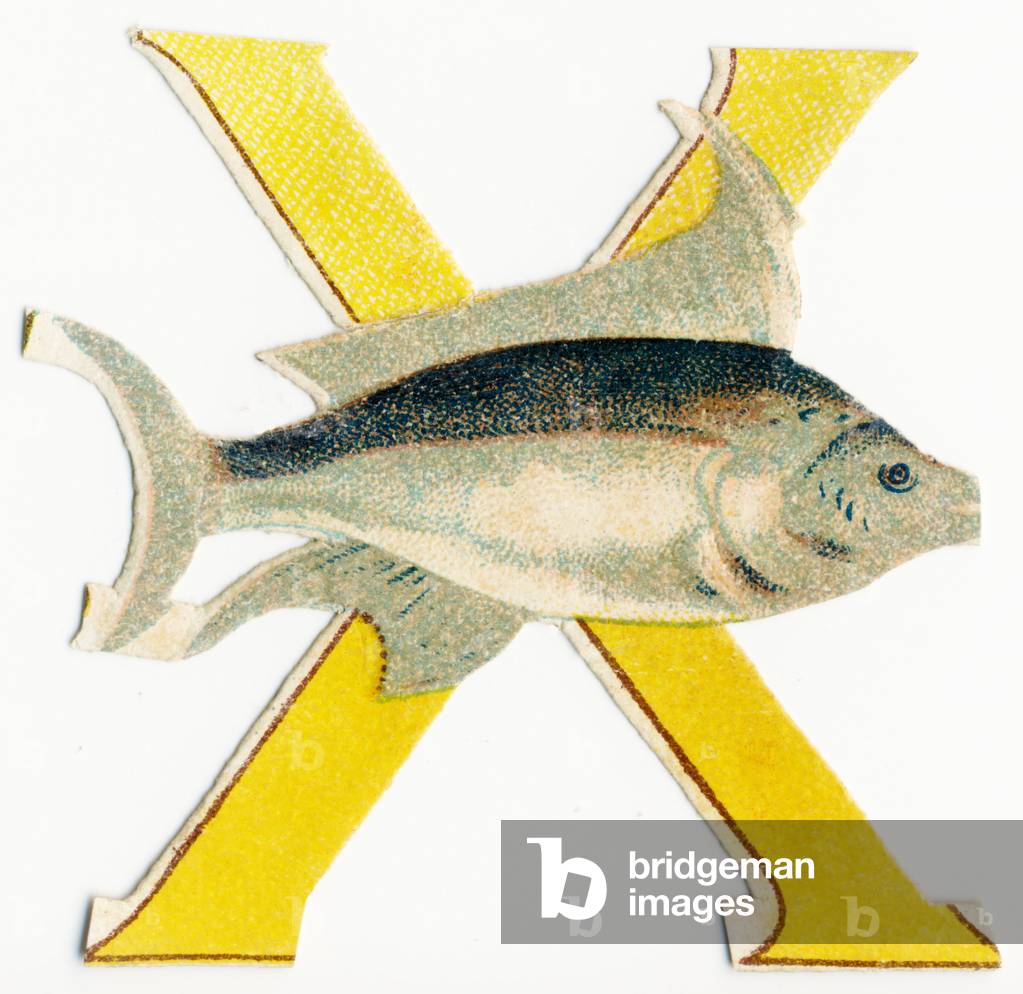 X Xiphias -  image of animals in decoupi, end of 19th century (chromolithograph)