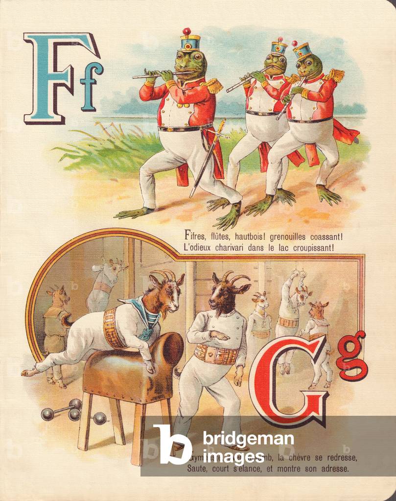 F G: Frog, fife, goat, gymnastics