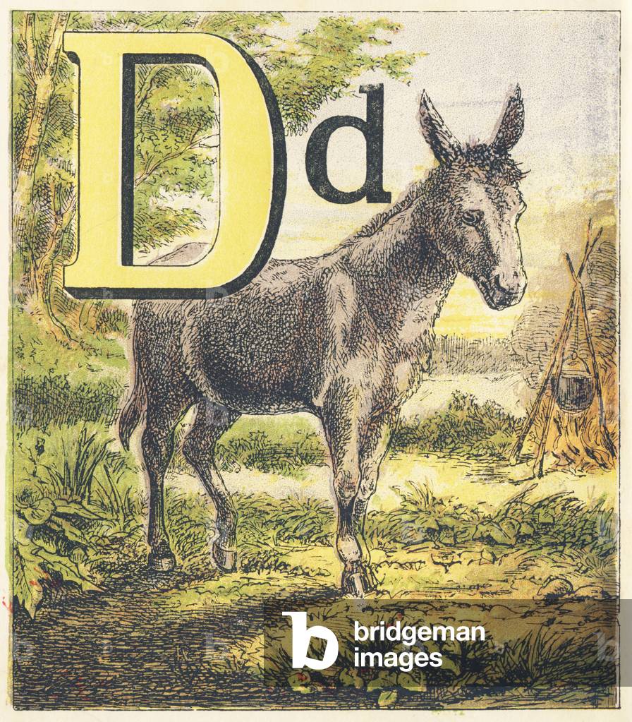 D for the Donkey with cross on his back - Aunt Louisa's alphabet book, The nursery alphabet. Frederick Warne and Co, editeurs, London (Angleterre), 1872. Illustrations de Tante Louise, pseudo de Laura Valentine (1814-1899). Ouvrage contenant trois abecedaires illustres. Dimensions : 27 x 23 cm