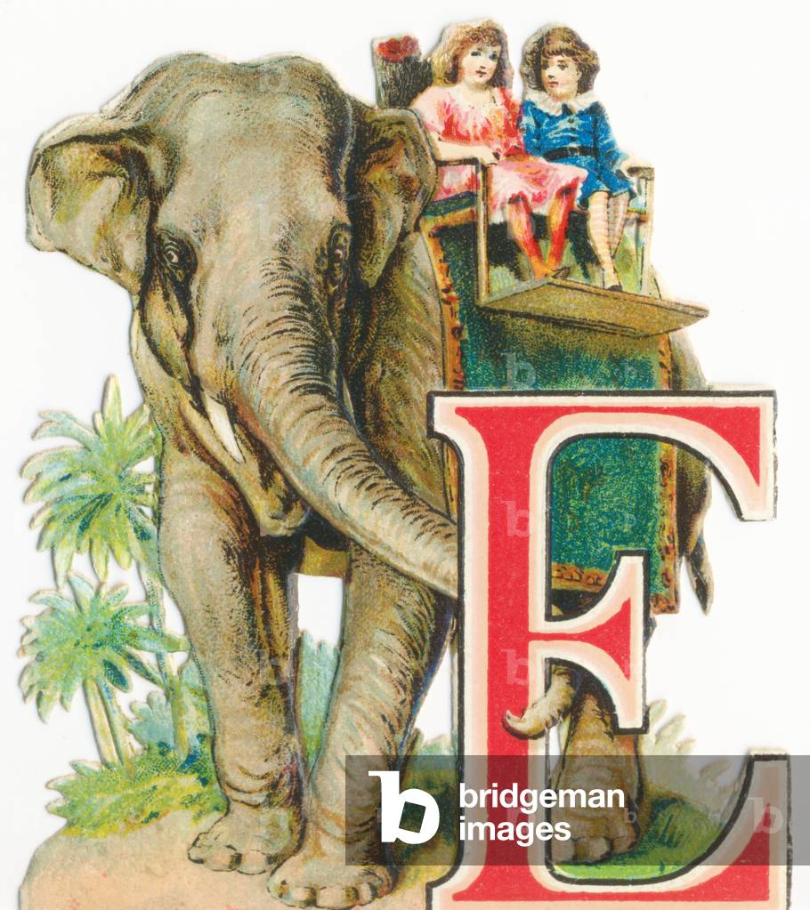 E: Elephant