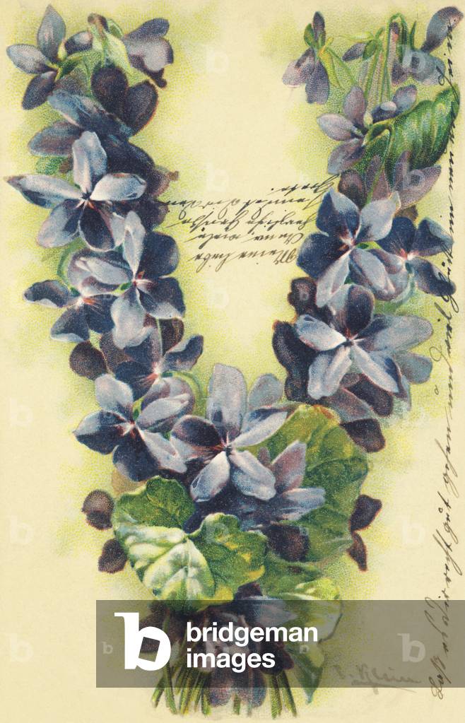 V : fleurs de violettes - Flowers alphabet G. B. editeur, Paris, 1904 (postcard)